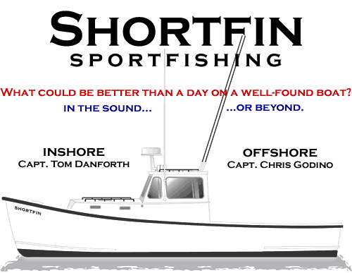 Shortfin Sportfishing. What could be better than a day on a well-found boat? In the Sound or beyond. Inshore, Capt. Tom Danforth. Offshore, Capt. Chris Godino.